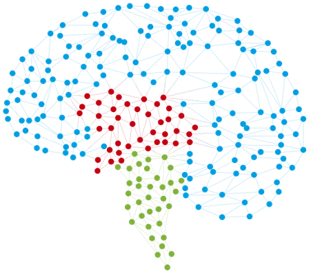 structogram-bioestruturale